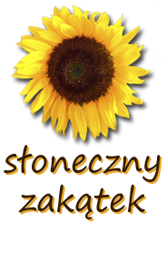 Soneczny Zaktek